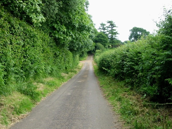 Photo 6"x4" View along lane by Acrise Wood Shuttlesfield c2008