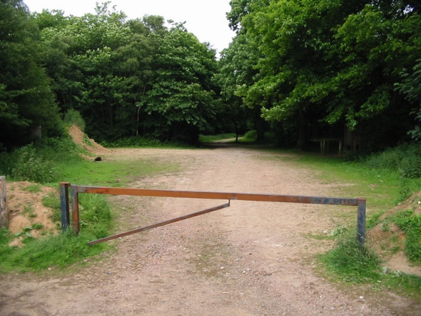 Photo 6"x4" Clearing in Acrise Wood Shuttlesfield c2008