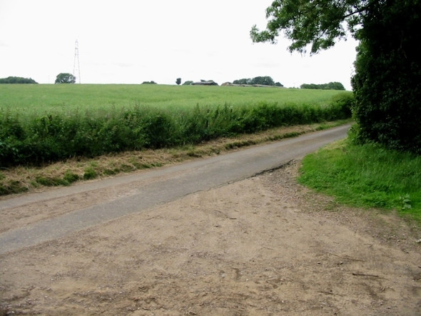 Photo 6"x4" View across field to Mill Down Farm Shuttlesfield c2008