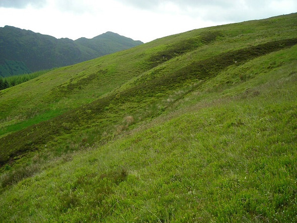 Photo 6"x4" Grassy Hillside Between Meall nan Oighreag and Sgiath a' Chaise Strathyre\/NN5617 c2008