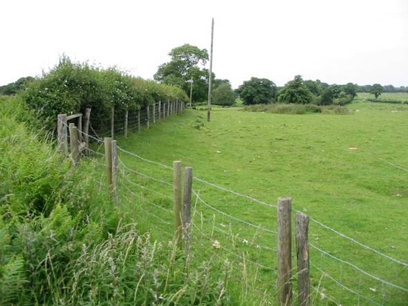 Photo 6"x4" Field boundary with lane Shuttlesfield c2008