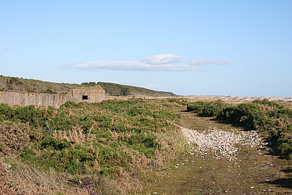 Photo 6"x4" Moray Coast Trail Lochhill\/NJ2964 c2008