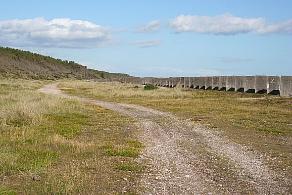 Photo 6"x4" Moray Coast Trail Lochhill\/NJ2964 c2008