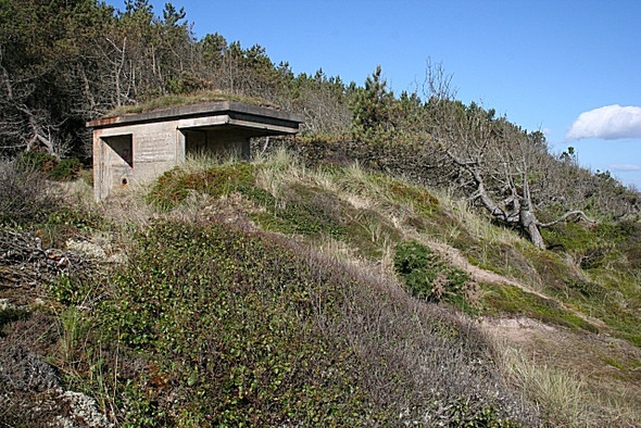 Photo 6"x4" Wartime Lookout Lochhill\/NJ2964 c2008