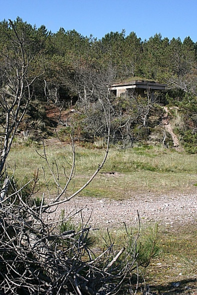 Photo 6"x4" Wartime Lookout Lochhill\/NJ2964 c2008