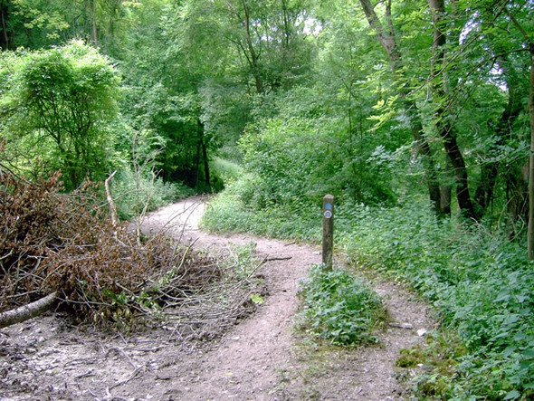 Photo 6"x4" Bridleway in Angmering Park Estate Patching c2008