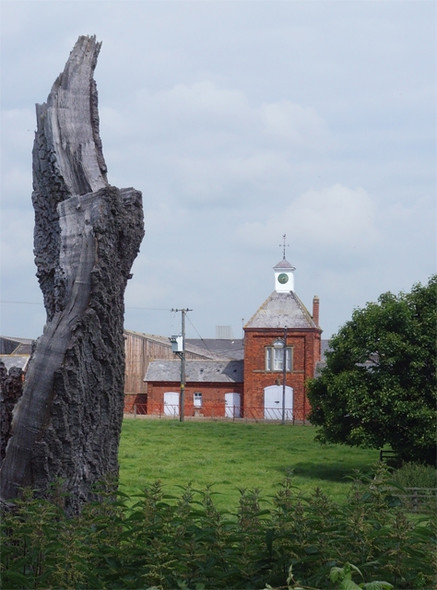 Photo 6"x4" Cold Harbour Farm, near Bishop Burton Bishop Burton c2008