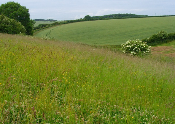 Photo 6"x4" Flowery Dale - western end High Hunsley c2008