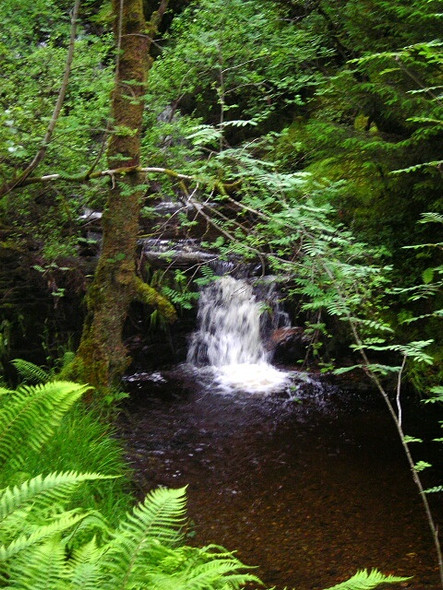 Photo 6"x4" Waterfall in Strathyre Forest Strathyre\/NN5617 c2008
