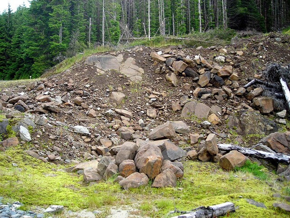 Photo 6"x4" Quarry in Strathyre Forest Kingshouse c2008