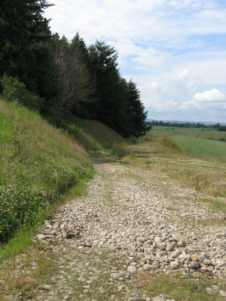 Photo 6"x4" Track alongside forestry, not marked on my map Meikleour c2008