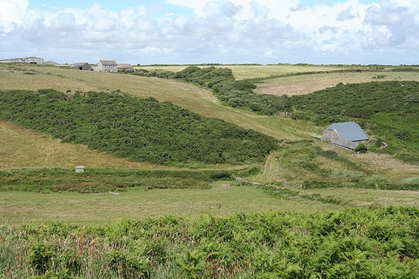 Photo 6"x4" Malborough: East Soar Farm Salcombe c2008