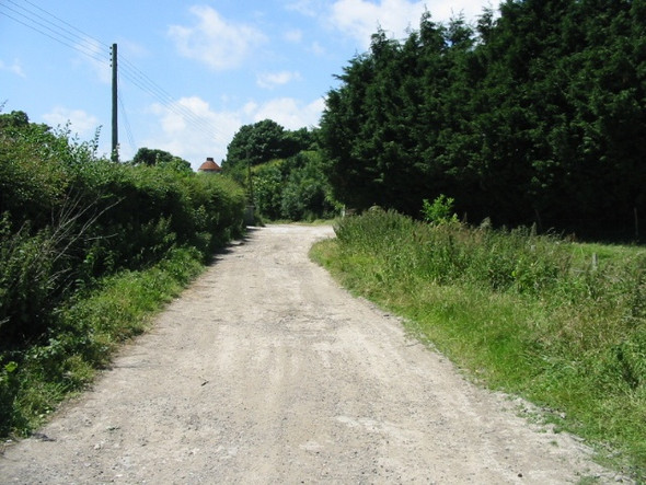 Photo 6"x4" Looking W towards Minnis Farm Ewell Minnis c2008
