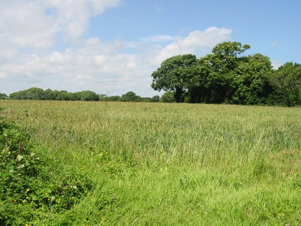 Photo 6"x4" View across the field from Ferne Lane Chalksole c2008