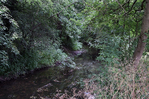 Photo 6"x4" Dollis Brook Finchley c2008