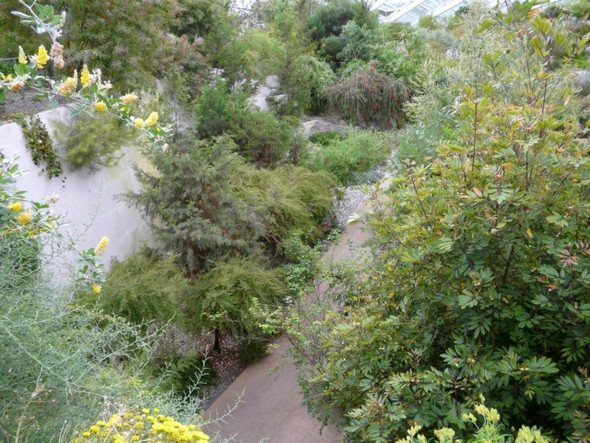 Photo 6"x4" The National Botanic Garden of Wales Llanarthne c2008