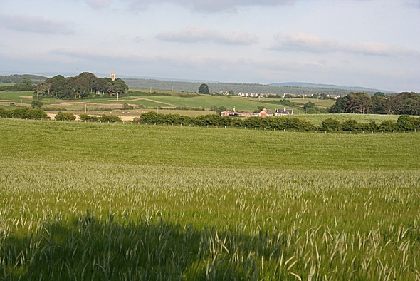 Photo 6"x4" Looking Towards Urquhart Darkland c2008