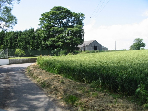 Photo 6"x4" Buildings at Great Everden Farm Swingfield Street c2008