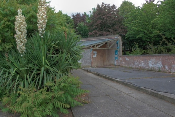 Photo 6"x4" Derelict Buildings, The Forest Nottingham\/SK5641 c2008