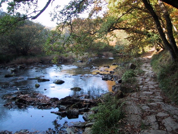 Photo 6"x4" River Barle, & stone path on the Two Moors Way between Tarr Steps & Withypool North Batsom c2003