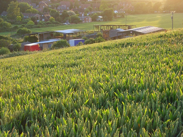 Photo 6"x4" Wheat and farm buildings, Hampstead Norreys Hampstead Norreys c2008