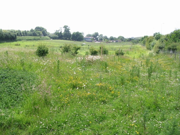 Photo 6"x4" Looking SW from Church Hill towards Coombe Farm Hawkinge c2008