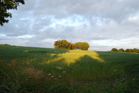 Photo 6"x4" Mobile phone mast Billinge c2008