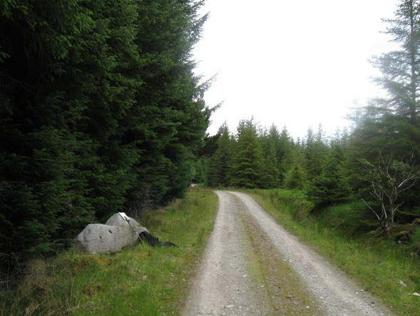 Photo 6"x4" Forestry track south of Loch Laggan Allt Creagan na Seabhaig c2008 P1