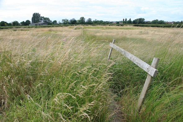 Photo 6"x4" Footbridge Over Drainage Ditch Breaston c2008