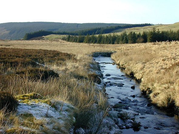 Photo 6"x4" Nant Rhuddnant, looking west Cripiau Nantmelyn c2001