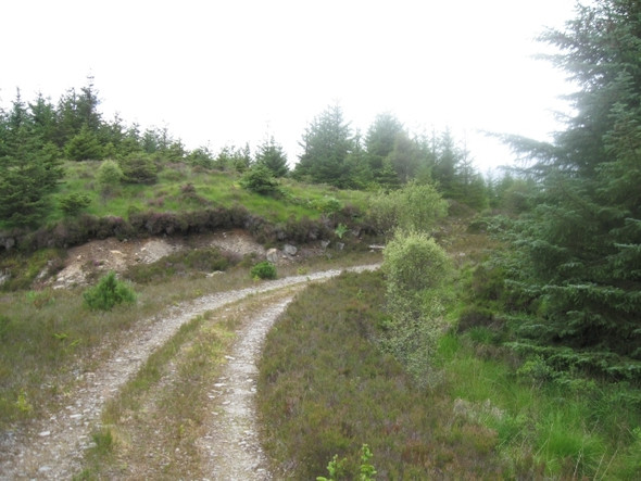 Photo 6"x4" Forestry track from Allt Sailean an E\u00c3\u00b2rna Salen\/An Sailean c2008