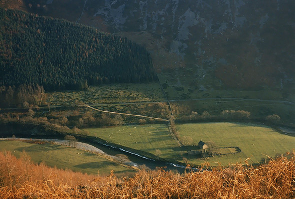 Photo 6"x4" Fields around D\u00c3\u00b4l-y-clochydd Nannau c1987