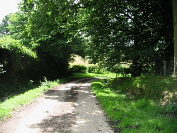 Photo 6"x4" Looking S along footpath and private road past Tilden Farm Four Wents\/TQ7632 c2008