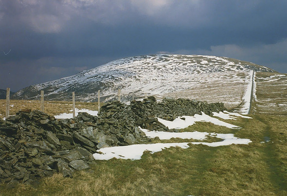 Photo 6"x4" The west ridge of Diffwys Llechfraith c1989