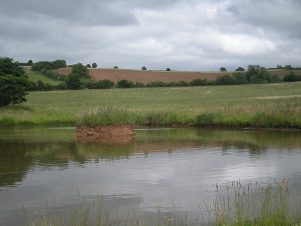 Photo 6"x4" Pond in a field Fenn Green c2008
