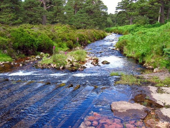 Photo 6"x4" Ford across the Water of Allachy, Glen Tanar Millfield\/NO4896 c2008 P1