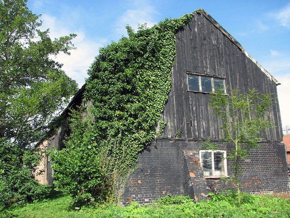 Photo 6"x4" Old barn or granary Aylsham c2008