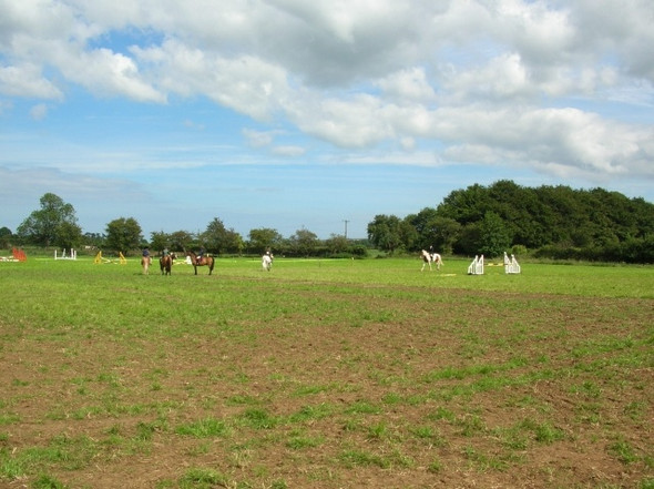 Photo 6"x4" Pony Show - Wykeham Carr Farm Wykeham\/SE9683 c2008