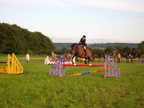 Photo 6"x4" Horse jumping at Derwent Pony Show Wykeham\/SE9683 c2008