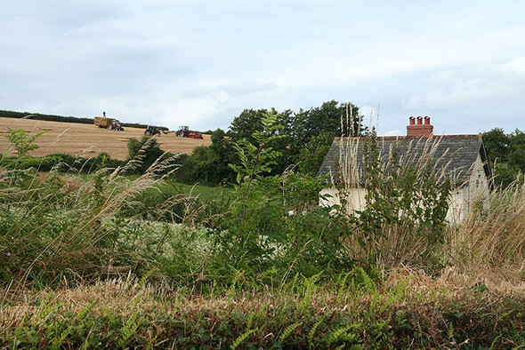 Photo 6"x4" Cullompton: stacking the bales Colebrook c2008