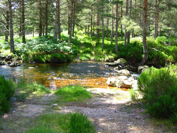 Photo 6"x4" Ford across the Water of Allachy Millfield\/NO4896 c2008