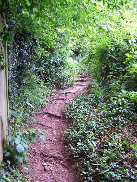 Photo 6"x4" Footpath between Babbacombe Road and Windsor Road Torquay c2008