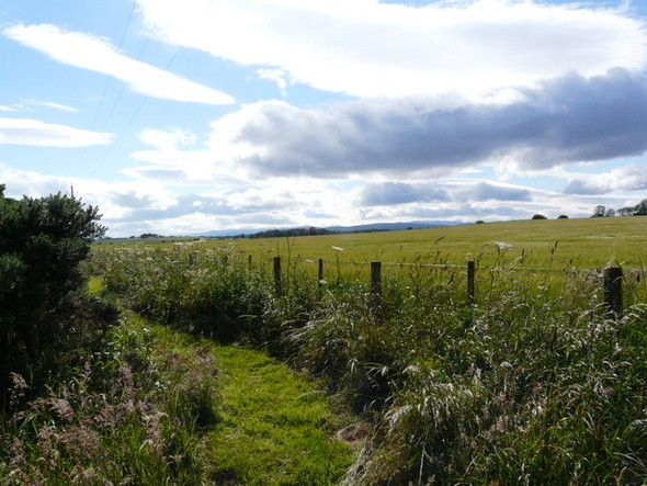 Photo 6"x4" Talich Nature Reserve Fearn c2008 P1