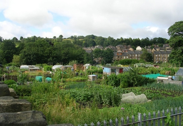 Photo 6"x4" Allotments - Hopton New Road, Lower Hopton Mirfield c2008