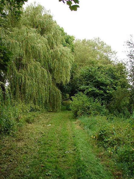 Photo 6"x4" Footpath to Cadwell Hitchin c2008