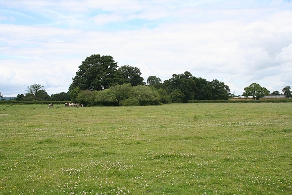 Photo 6"x4" Cow pasture and pond near New House Farm Great Malvern c2008