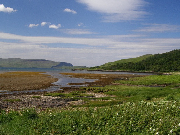 Photo 6"x4" Head of Loch na Keal, Mull Gruline c2008