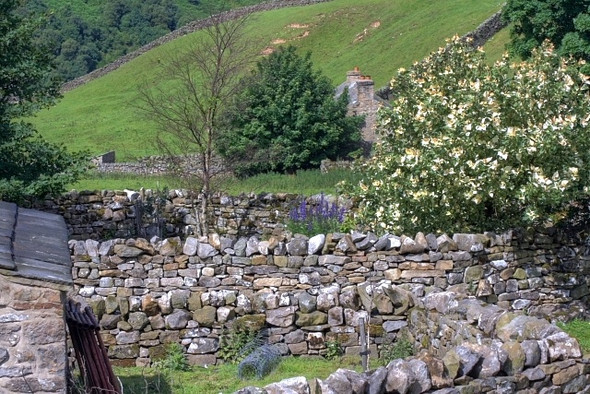 Photo 6"x4" View Across the Back Walls at Winterings Gunnerside c2008