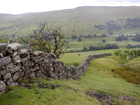 Photo 6"x4" Wall Descending to the Dale Bottom Gunnerside c2008