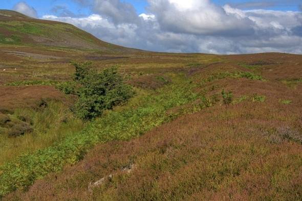 Photo 6"x4" Iron Age Earthworks Grinton c2008